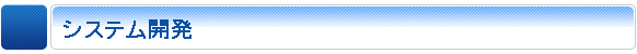 システム開発